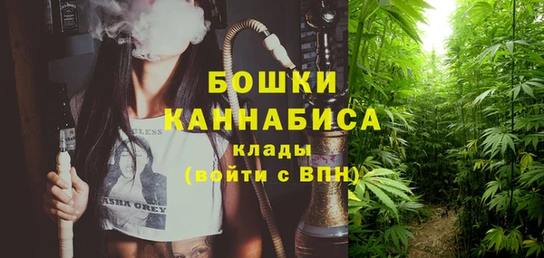 тгк Володарск