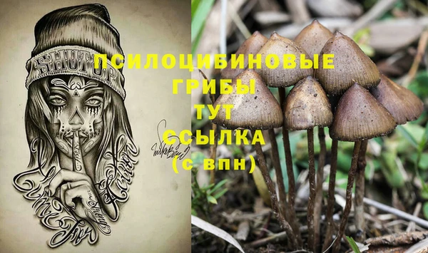 стафф Горно-Алтайск